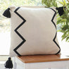 Ariza Chevron Tassel Accent Pillow (7593982066888)