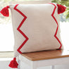 Ariza Chevron Tassel Accent Pillow (7593982066888)